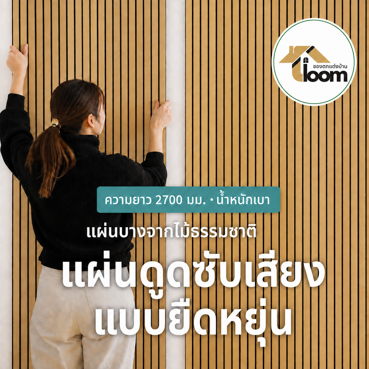 แผ่นซับเสียงแบบยืดหยุ่น (270 ซม. x 110 ซม.)